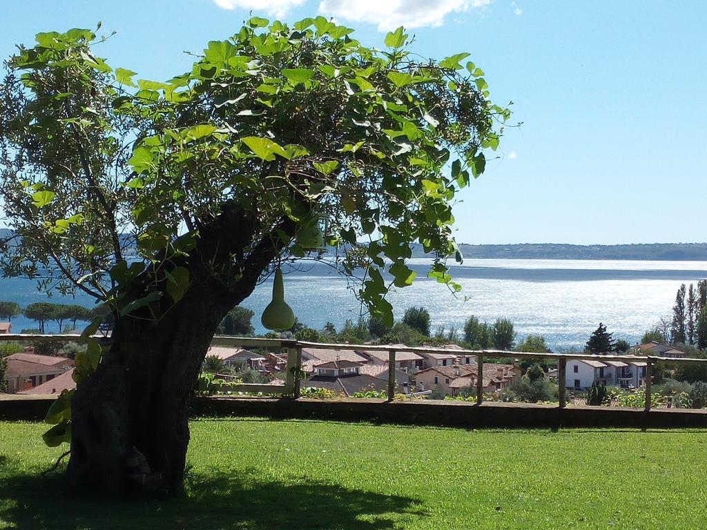 B&B Vigna Rosa Trevignano Romano Buitenkant foto